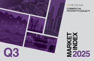 Q3 P/C Market Index 2025